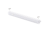 T5 3CCT